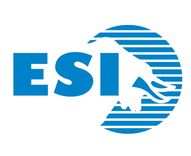 Acquisition of Eichenauer Services Inc.